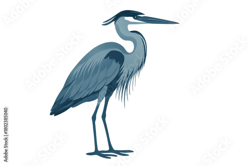 Great blue heron standing, a graceful wading bird in an aquatic wildlife habitat, isolated vector illustration