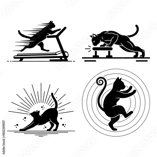 Cat workout silhouette collection of funny black cat illustrations doing sports isolated on