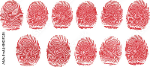A collection of red ink fingerprints arranged in rows for identification.