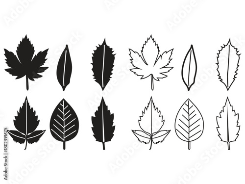 Collection of Diverse Botanical Leaf Silhouettes and Outline Shapes