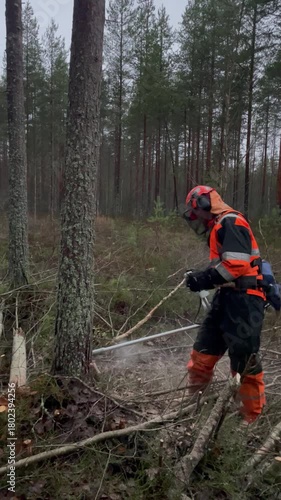 Wallpaper Mural Vertical screen a lumberjack cuts a large tree with a trimmer heavy physical work in the forest evening atmosphere calm focus determination Torontodigital.ca