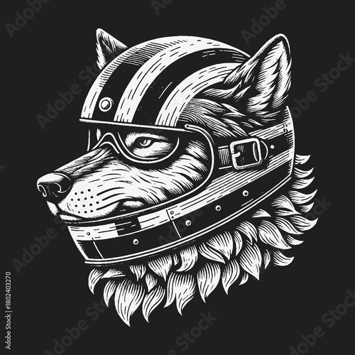 Monochrome Wolf Biker in Vintage Striped Motorcycle Helmet.