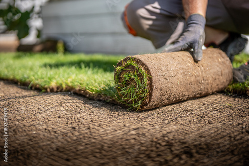 Gardening - Gardener laying sod for the new lawn. 	
Making a lawn from a roll. Man laying grass turf rolls for new garden lawn.