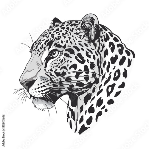 Detailed Black and White Leopard Head Portrait Illustration of Wildlife Animal