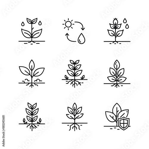 Plant growth, agriculture, and protection vector line icon set