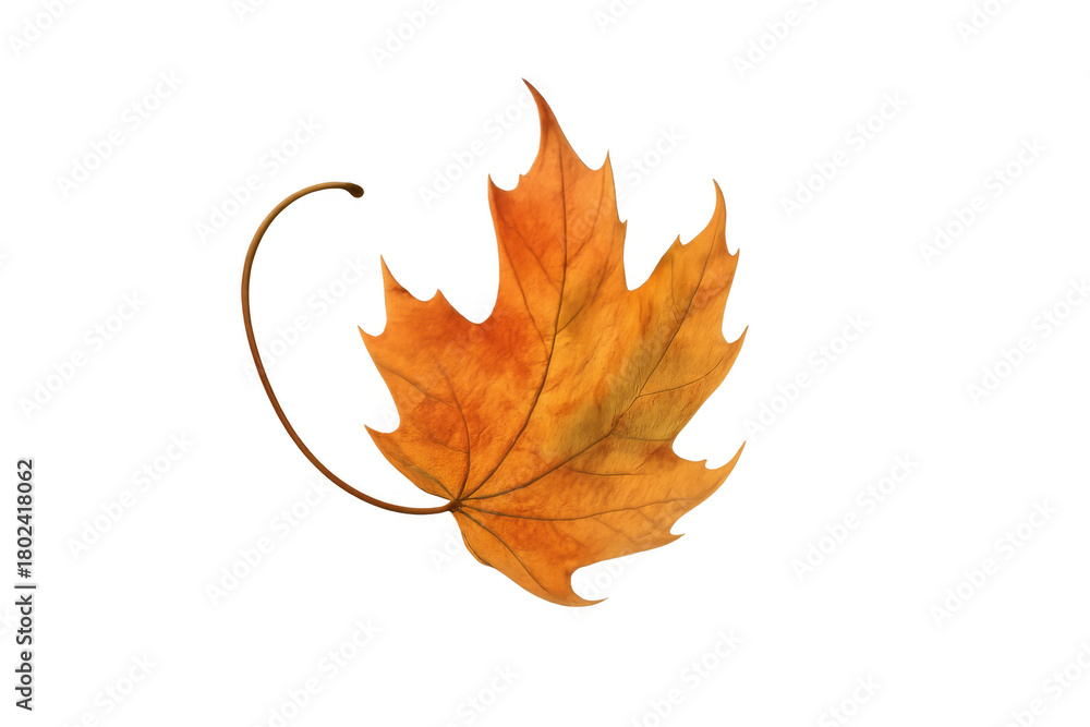 Fototapeta premium Golden maple leaf falling, symbolizing autumn season change, natural foliage element with transparent background