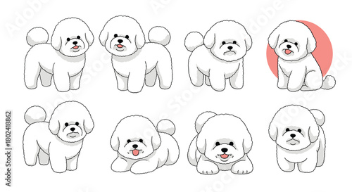 Charming collection of adorable white Bichon Frise puppies in various cute poses and expressions, perfect for pet-themed designs and illustrations.