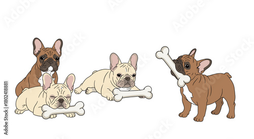 Four adorable French bulldog puppies enjoying bones in a playful arrangement, showcasing their cute expressions and varying coat colors.