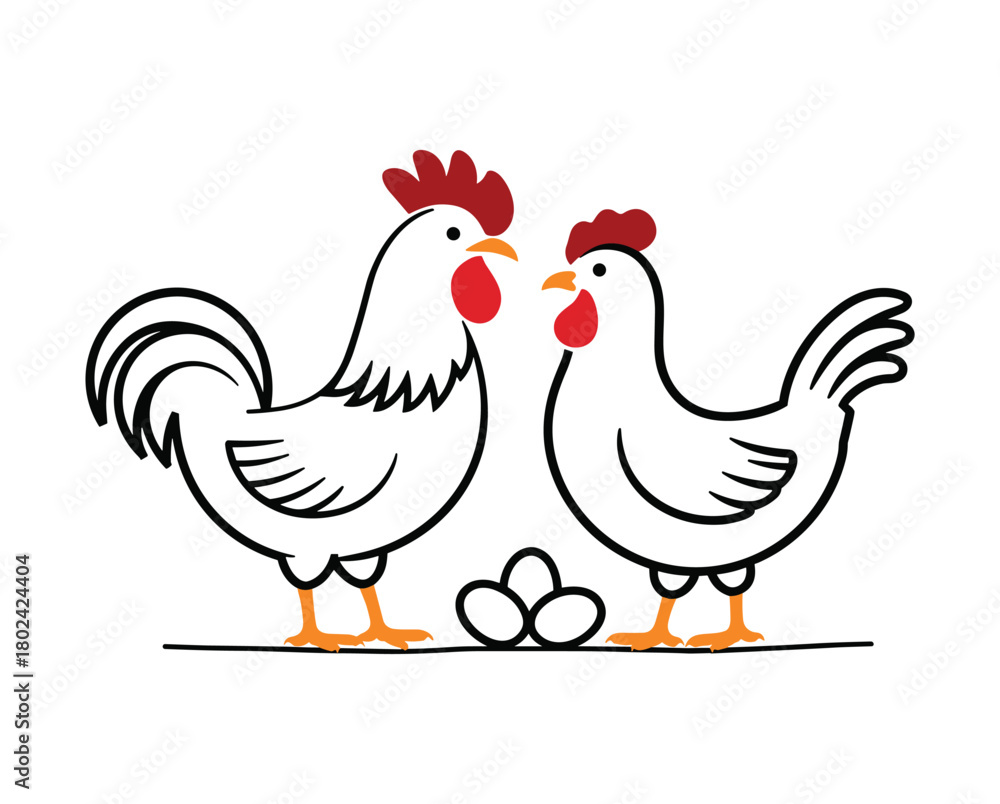 Fototapeta premium White rooster hen and eggs farm poultry.