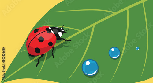 Macro view illustration of a red ladybug with black spots walking on a vibrant green leaf with several clear blue water droplets.