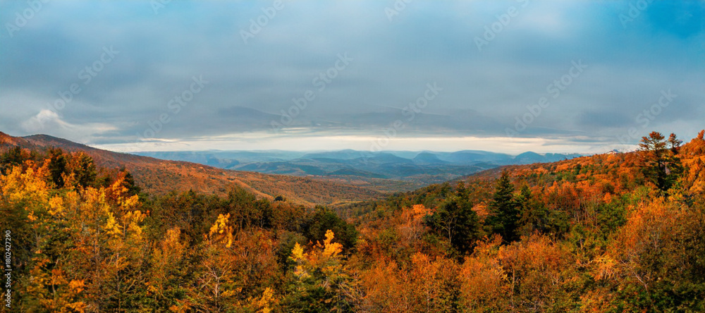 Fototapeta premium fall colors in Boone North Carolina