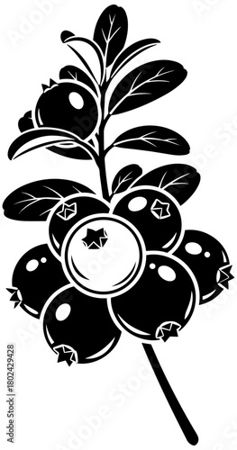 Elegant lingonberry branch, delicious forest fruit, ideal for healthy recipes and designs