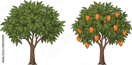 Fruit tree and non-fruit tree comparison, nature contrast, seasonal growth, agriculture concept, orchard productivity, botanical diversity, flat vector illustration