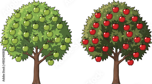 Apple tree illustration, green apples, red apples, fruit orchard, nature icon, harvest season, CAD drawing, flat vector, garden flora, healthy food