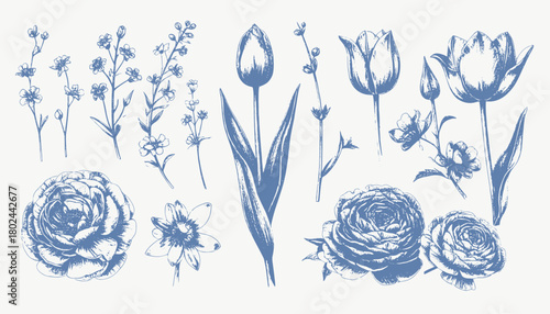 Blue botanical sketches of various flowers like tulips, roses, and small flowering stems
