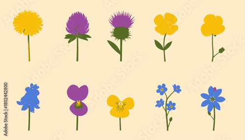 Illustration of ten simplified, cartoon-style flowers in various colors against a light background