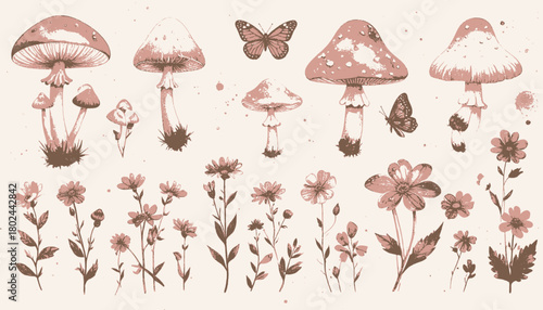 An illustrative drawing in sepia tones of various mushroom types, butterflies, and floral elements