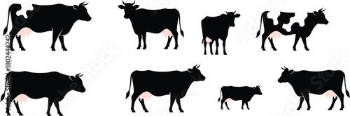 Cow silhouette illustration, farm animal vector, cattle shapes design, dairy livestock art, agriculture concept, udders highlighted, rural farming graphic