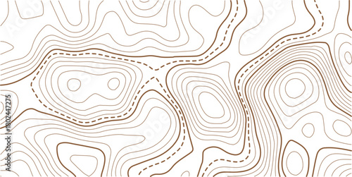 Abstract Topographic Pattern contour line map. Luxury gold abstract line art on transparent background image.. topographic contour background. Topography background. Vector banner. Topo,
