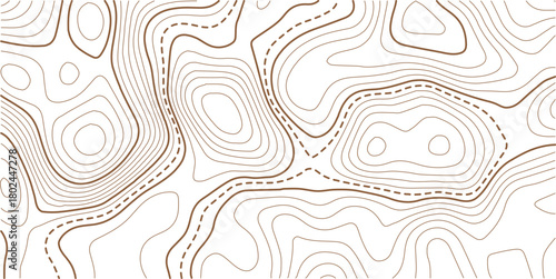 Abstract topo contour map on white background, Topographic map Topographic contour lines map seamless pattern.