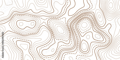 Abstract topo contour map on white background, Topographic map Topographic contour lines map seamless pattern.