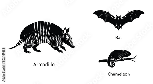 Black and white illustration featuring an armadillo bat and chameleon