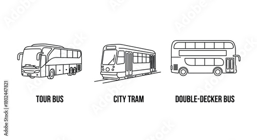 Line art illustration of a tour bus city tram and double decker bus