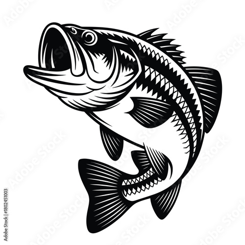 Illustration of a largemouth bass fish jumping out of the water, isolated on the fish is black and white, and it is in a dynamic pose
