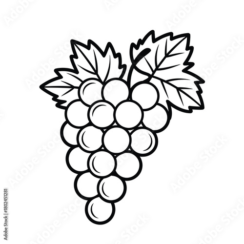 Illustration of a bunch of grapes with leaves, isolated on, representing fruit, harvest, and the ingredients for making wine