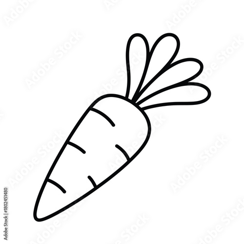 Hand drawn carrot isolated on simple sketch of a root vegetable, commonly eaten and known for its orange color and nutritional value