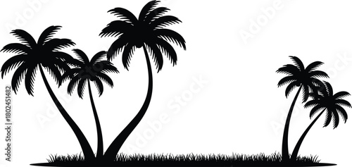 Tropical palm tree silhouette, exotic island landscape, summer beach nature, black palm trees, tropical grass field, vacation paradise, relaxation scene, travel background