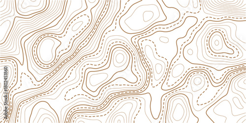 Abstract Topographic Pattern contour line map. Luxury gold abstract line art on transparent background image.. topographic contour background. Topography background. Vector banner. Topo,
