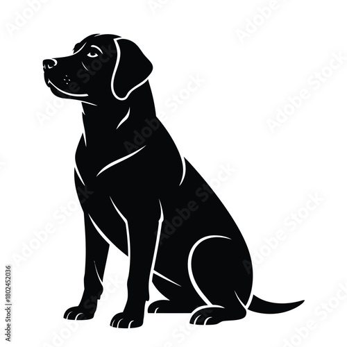 A majestic black labrador retriever sits in profile, showcasing its elegant form and noble bearing isolated on