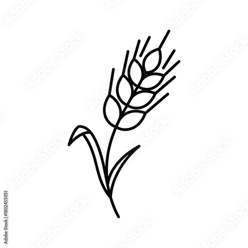 Minimalist black line art illustration of a single wheat stalk icon