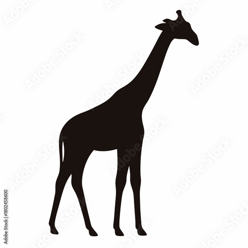 Silhouette of a giraffe standing tall against a pristine white background