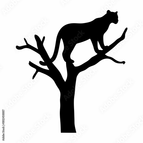 Silhouette of a majestic mountain lion perched high up in a tree