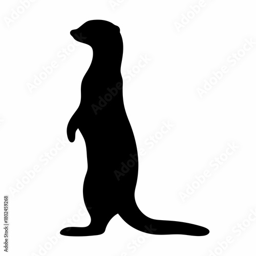 Silhouette of a meerkat standing upright looking into the distance vigilantly