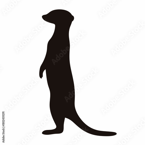 Silhouette of a Meerkat Standing on Hind Legs with Tail to Side