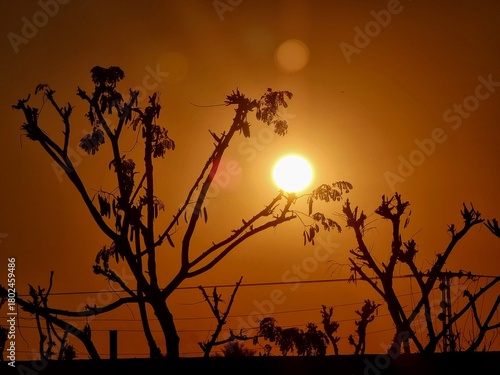 Beautiful evening view of cloudy red sky with green trees in Pakistan. Beautiful sunset view. Flying trees with beautiful sky at sunset. Beautiful 4K footage.