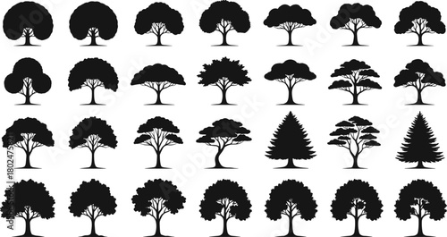 Elegant tree silhouettes collection in diverse species and shapes, black vector icons set for nature, forest, landscape, ecology, environmental design.