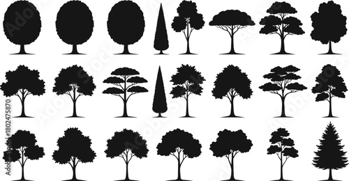 Elegant tree silhouettes collection of diverse species and shapes, black vector icons set for nature, forest, landscape, ecology, environmental design uses.