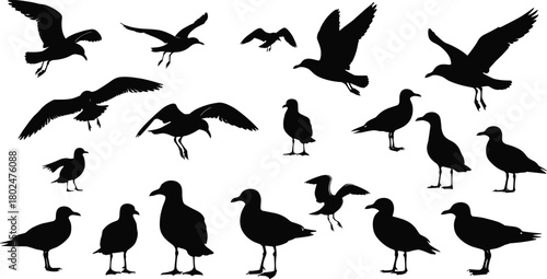 Seagull silhouettes vector collection with flying, landing, and standing coastal birds, black ocean wildlife icons for nature, beach, maritime design resources.