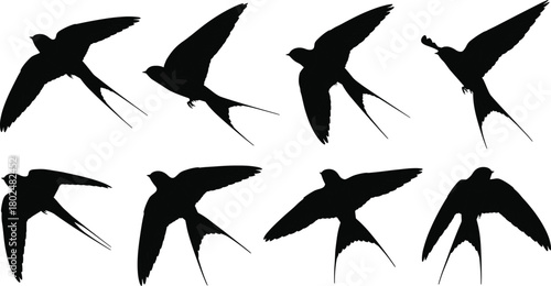 Set of flying swallow bird silhouettes vector illustration collection showing black flock isolated on white background for design.