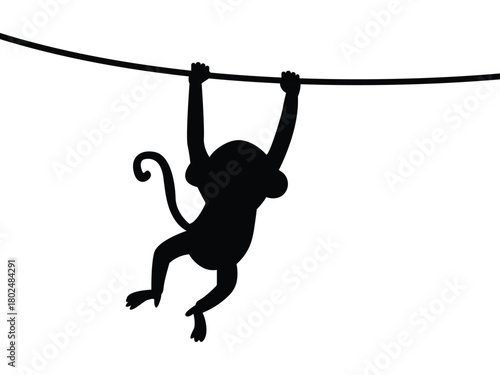 Black silhouette of a monkey hanging from a tree branch. vector illustration isolated on white background.  