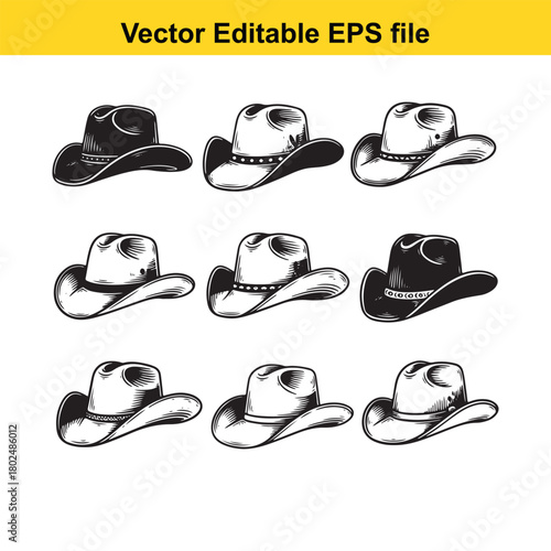 Assortment of nine cowboy hats, each with unique characteristics, isolated on white