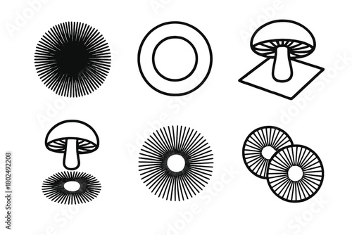 Mushroom Spore Icons. Line style icons of Mushroom Spore Prints: dark spore circle, white spore ring, print with cut cap, paper