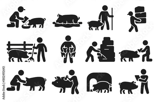 Pig Farming Icons. Solid style icons of Pig farming activities: feeding, wallowing, herding, cleaning pen, moving piglets,
