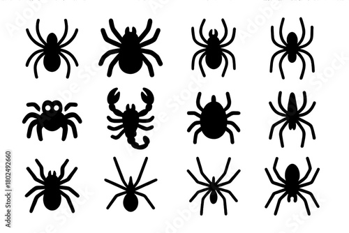 Solid Spider Icons. Solid style icons of Spiders and arachnids: spider, tarantula, black widow, orb weaver, jumping spider,