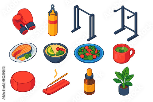 Healthy Lifestyle Icons. Isometric vector illustration set Healthy Lifestyle: boxing gloves, punching bag, chin-up bar, squat rack