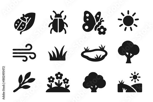 Garden Life Icons. Solid style icons of Outdoor garden life: ladybug on leaf, crawling beetle, butterfly on flower, sunlight,